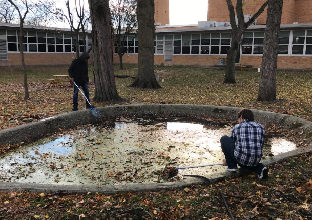 Green Club members remove leaves from the courtyard pond to detoxify the water.
