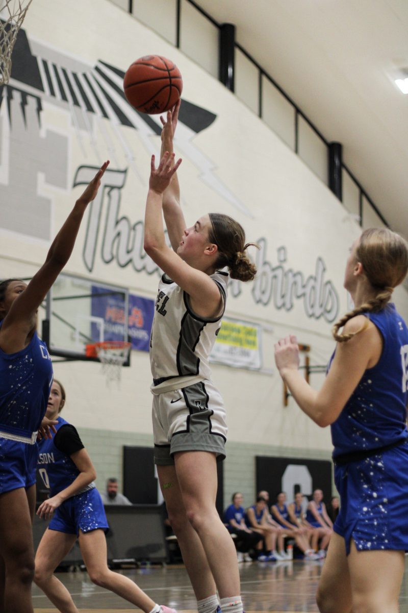 PHOTOS: Edsel Ford Girls Basketball vs. Carlson